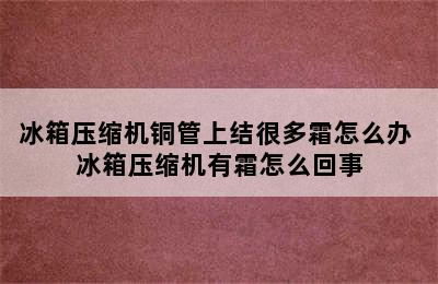 冰箱压缩机铜管上结很多霜怎么办 冰箱压缩机有霜怎么回事